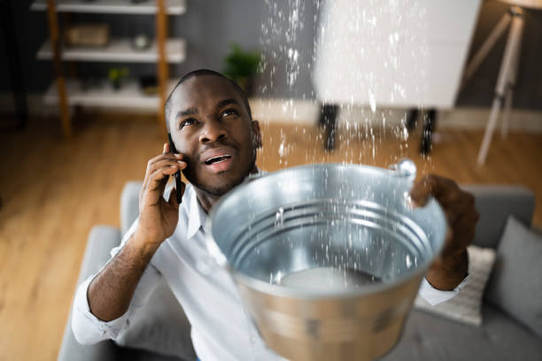 Best Sewage cleanup and water damage restoration  in Hebron, MD