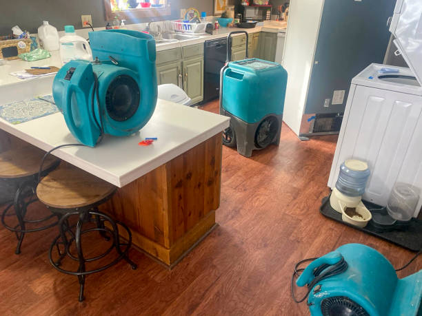 Best Water damage restoration process  in Hebron, MD