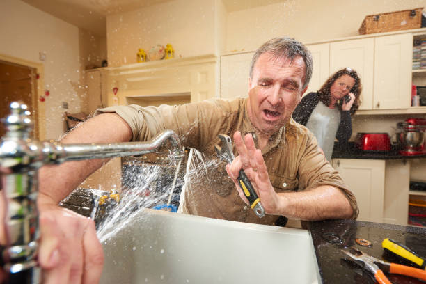 Best Mold removal after water damage  in Hebron, MD